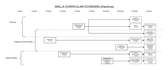 Ver Malla Curricular Economía Electivo - FCEC